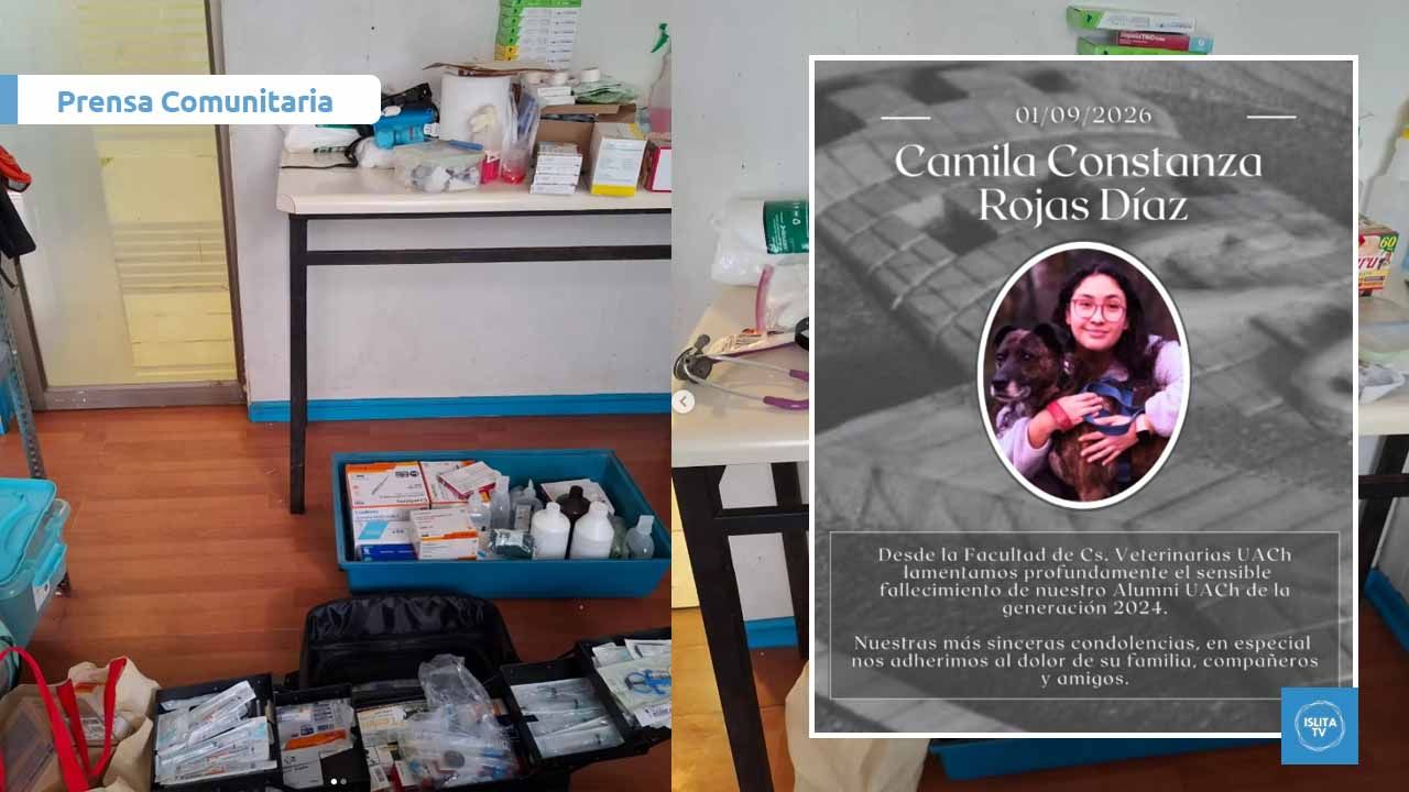 Colectivo Animalista del Maipo recibe donación en memoria de Camila Rojas, veterinaria vinculada a Isla de Maipo